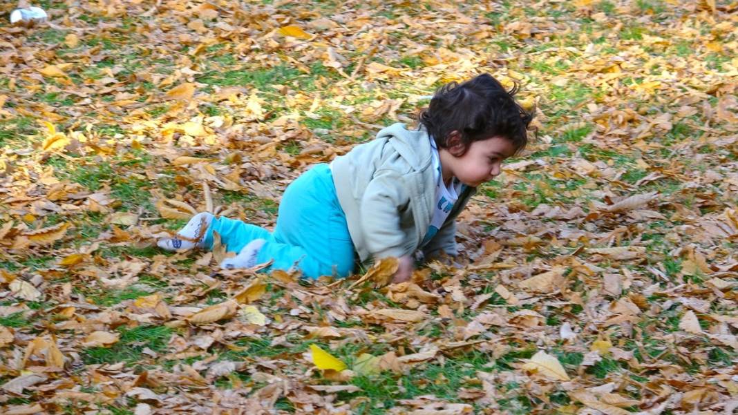 Instagram paylaşımları için sonbahar yapraklarının süpürülmesi yasaklandı 3